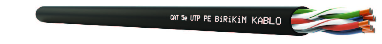 CAT 5e UTP PE